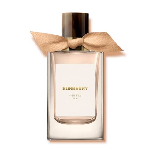 burberry ll sm grmt thdl ers|burberry signatures for men.